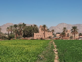 agriculture-img