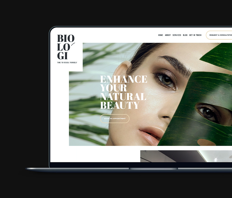 Our Portfolio