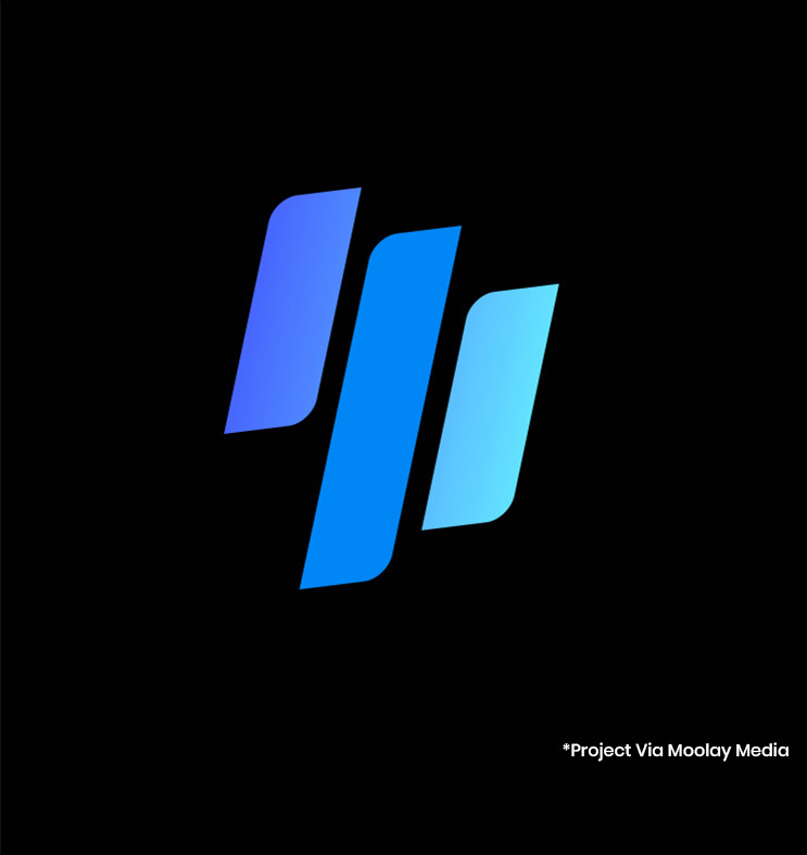 Our Portfolio